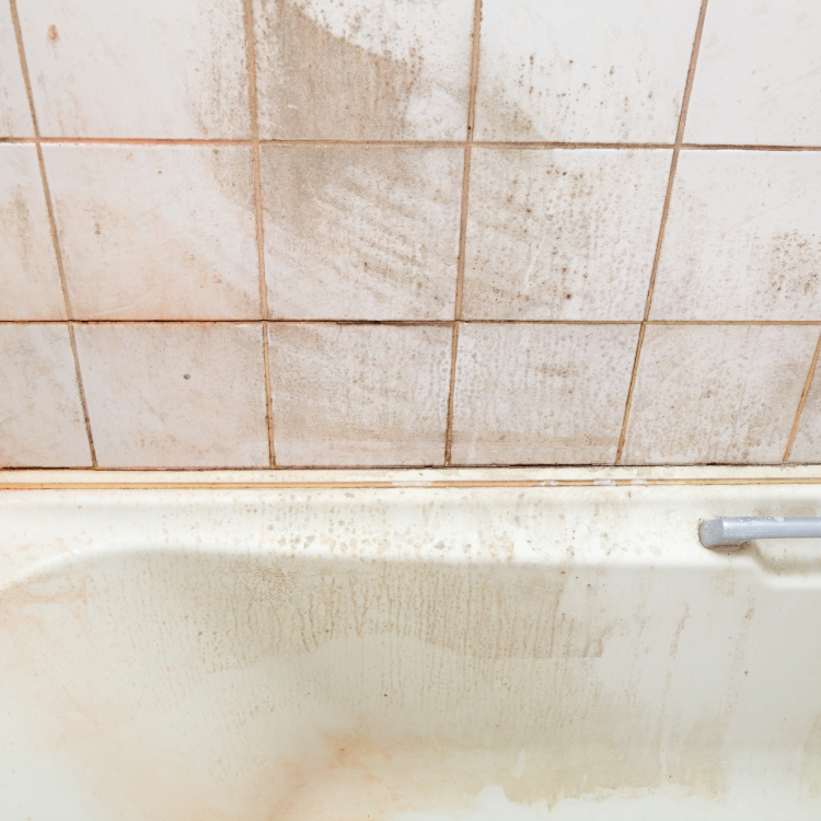 How to Repair Loose Shower Tiles and Prevent Future Damage Shower